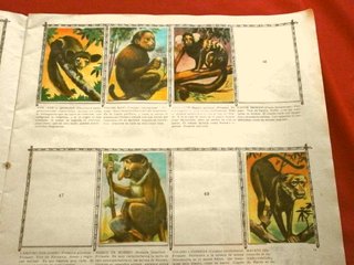 ANIMALES (AÑO 1961) ALBUM ORIGINAL con 213 CROMOS