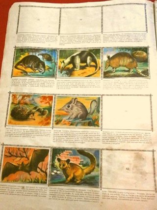 ANIMALES (AÑO 1961) ALBUM ORIGINAL con 213 CROMOS