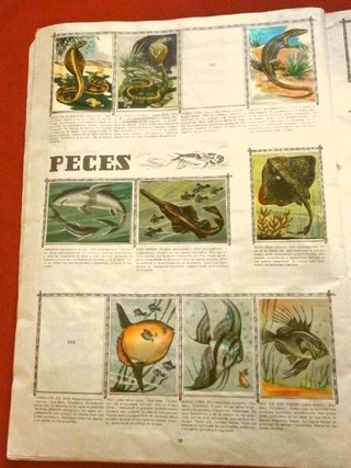 ANIMALES (AÑO 1961) ALBUM ORIGINAL con 213 CROMOS