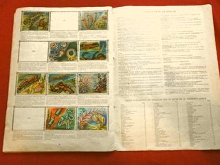 ANIMALES (AÑO 1961) ALBUM ORIGINAL con 213 CROMOS