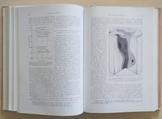 Libro TECNOLOGÍA DE LA MADERA Y SUS APLICACIONES