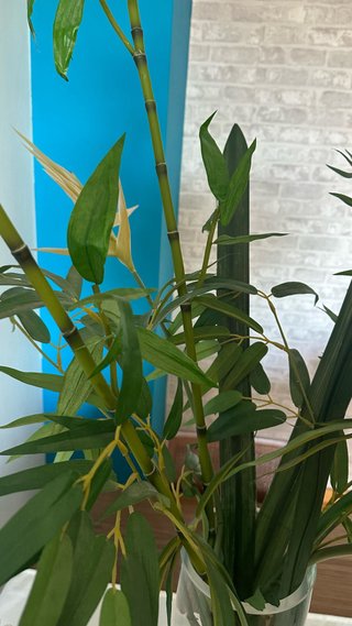 Ramo plantas artificiales exóticas