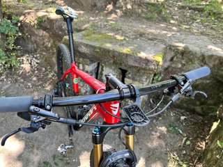 Bicicleta MTB de Carbono Berria Bravo 29''