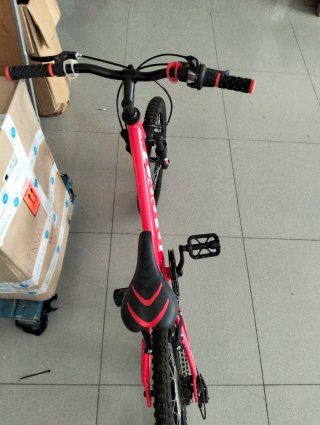 Bicicleta niño B-Pro 20 roja