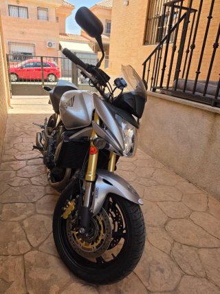 HONDA HORNET CB600F 2010 – ¡IMPECABLE!