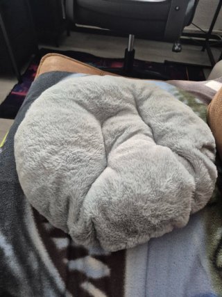 Cama para Gatos Gris Suave