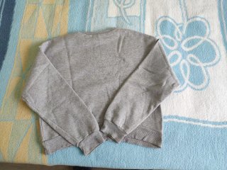 Jersey gris con letras rojas