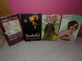 Lote Libros Danielle Steel