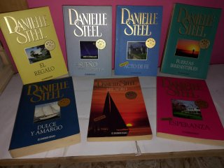 Lote Libros Danielle Steel