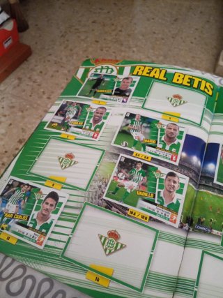 Colección Cromos Liga BBVA 2013-14 Panini