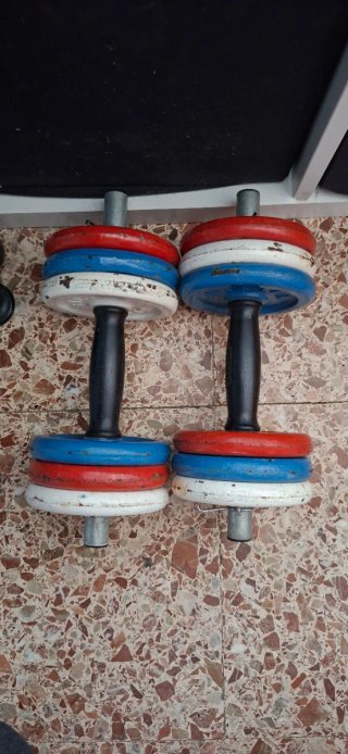 2 Mancuernas y 12 discos 1kg (12kg total)
