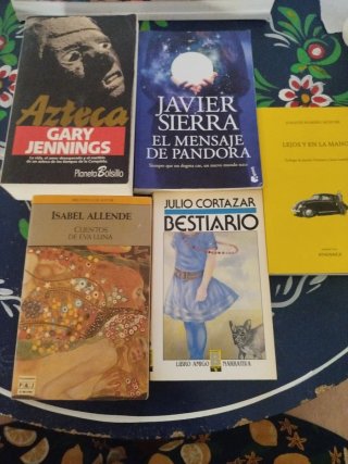 Lote libros