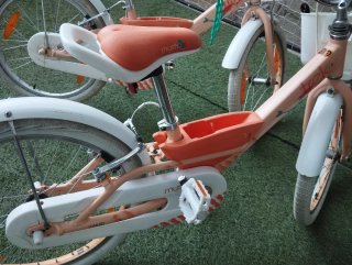 2 Bicicletas Trek 20 Niña