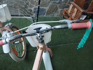 2 Bicicletas Trek 20 Niña
