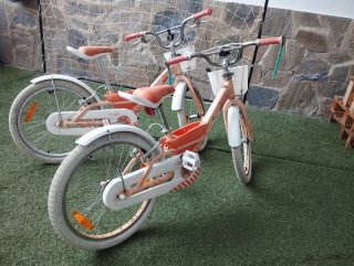 2 Bicicletas Trek 20 Niña