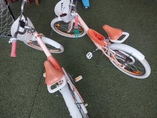 2 Bicicletas Trek 20 Niña