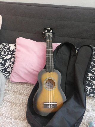 Ukulele con custodia e plettro per suonare.