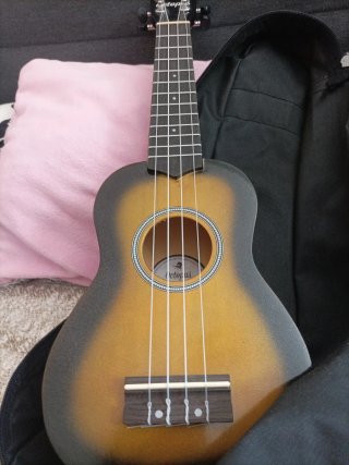 Ukulele con custodia e plettro per suonare.