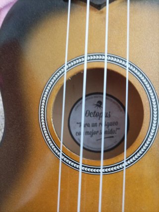 Ukulele con custodia e plettro per suonare.