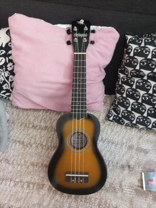 Ukulele con custodia e plettro per suonare.