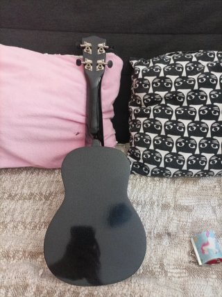 Ukulele con custodia e plettro per suonare.