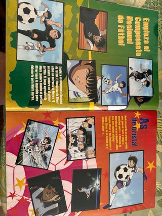 Álbum Cromos Campeones Hacia el Mundial