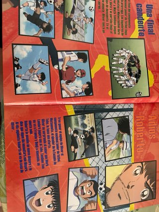 Álbum Cromos Campeones Hacia el Mundial
