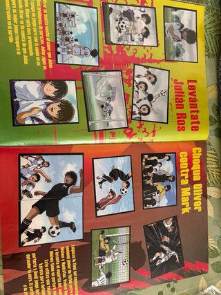 Álbum Cromos Campeones Hacia el Mundial