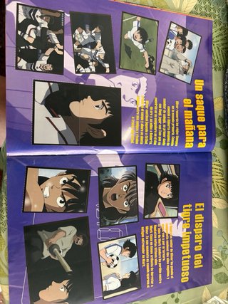 Álbum Cromos Campeones Hacia el Mundial