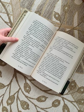 Libro Capitan Grisman y el amor