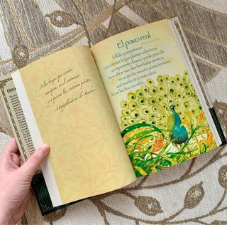 Libro Capitan Grisman y el amor