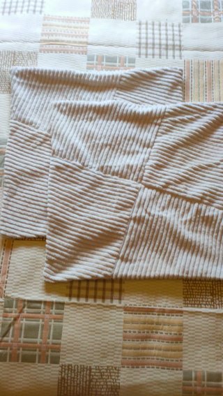 Topfinel 2 Fundas Cojín Corduroy 50x50 arena