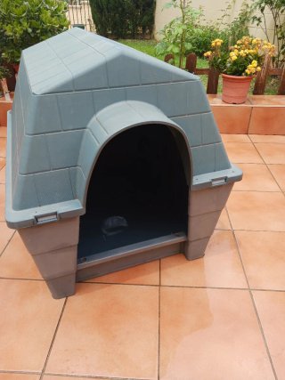 Caseta para mascotas
