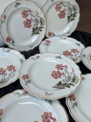 Antiguos platos Limoges Haviland porcelana