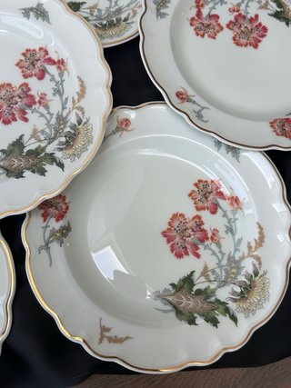 Antiguos platos Limoges Haviland porcelana