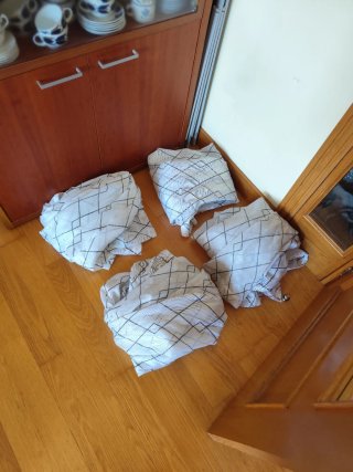10 Cortinas Blancas con Diseño Negro