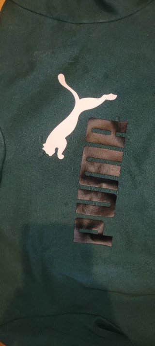 Sudadera Puma  verde talla 15- 16 años 176cm
