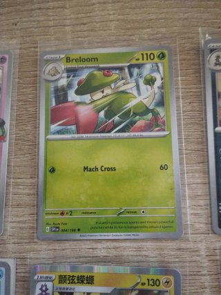 Colección de cartas Pokémon de Ryuta Fuse.