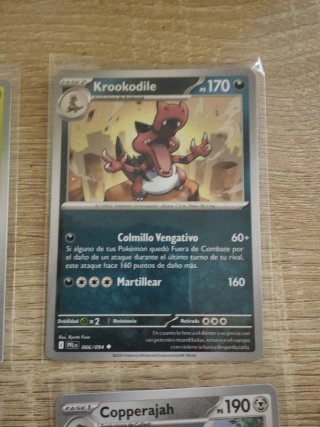 Colección de cartas Pokémon de Ryuta Fuse.