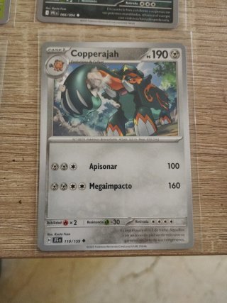 Colección de cartas Pokémon de Ryuta Fuse.