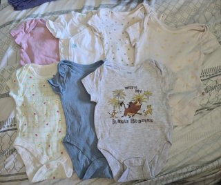 Lote Bodis Bebé Niña/Niño
