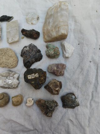 Colección Minerales y Fósiles - 32 Piezas