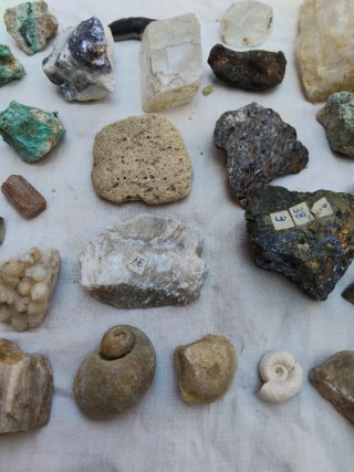 Colección Minerales y Fósiles - 32 Piezas