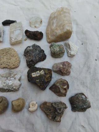 Colección Minerales y Fósiles - 32 Piezas