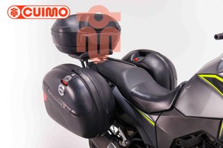 KAWASAKI VERSYS X 300