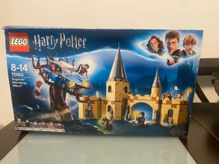 LEGO Harry Potter 75953 Sauce Boxeador