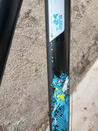 Bicicleta 24 pollici
