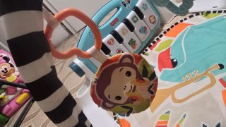 Gimnasio para bebé Fisher-Price