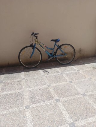 Bicicleta económica rueda pinchada
