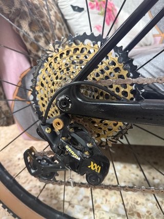 MTB Orbea Alma LTD Carbon Tope gama
